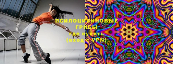 ПСИЛОЦИБИНОВЫЕ ГРИБЫ Алексеевка