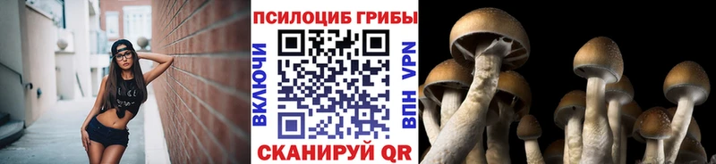 Галлюциногенные грибы MAGIC MUSHROOMS  Салехард 
